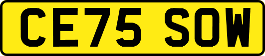 CE75SOW
