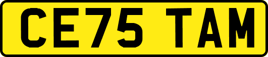 CE75TAM