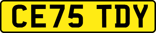 CE75TDY