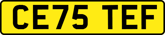 CE75TEF
