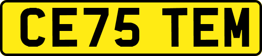 CE75TEM