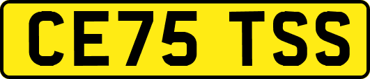 CE75TSS