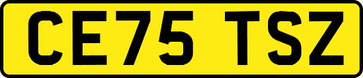 CE75TSZ