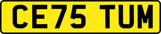CE75TUM