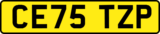 CE75TZP