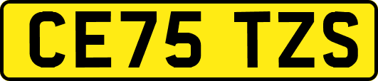 CE75TZS