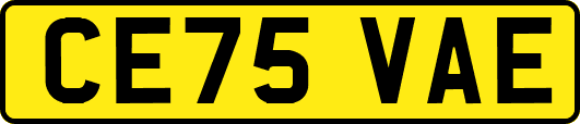 CE75VAE