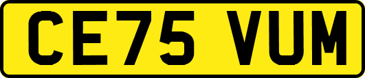 CE75VUM