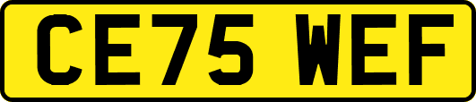 CE75WEF