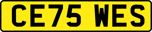 CE75WES
