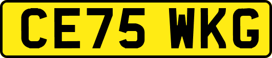CE75WKG