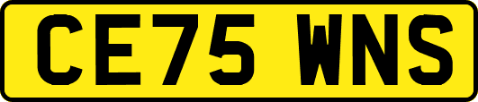 CE75WNS