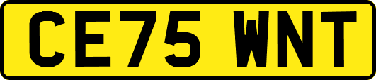 CE75WNT