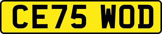 CE75WOD