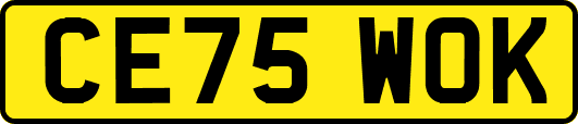 CE75WOK