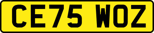 CE75WOZ