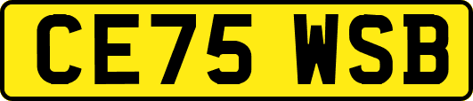 CE75WSB