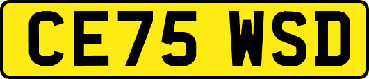 CE75WSD