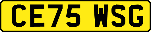 CE75WSG
