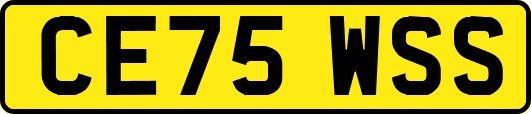 CE75WSS