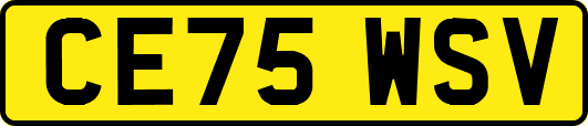 CE75WSV