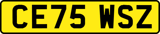 CE75WSZ