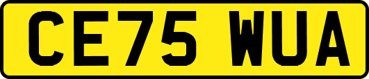 CE75WUA