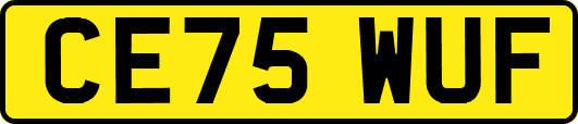 CE75WUF