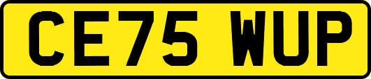CE75WUP