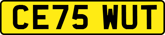 CE75WUT