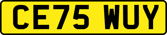 CE75WUY