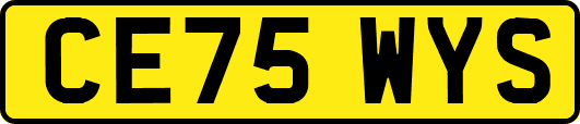 CE75WYS