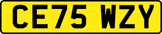 CE75WZY