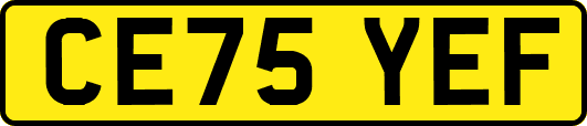 CE75YEF