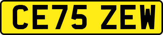CE75ZEW