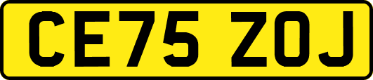 CE75ZOJ
