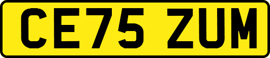 CE75ZUM