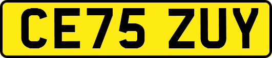 CE75ZUY