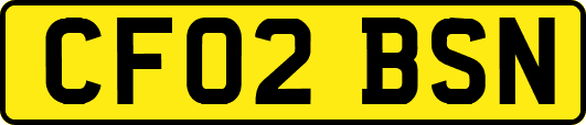 CF02BSN