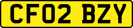 CF02BZY
