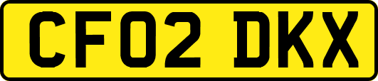 CF02DKX