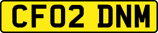 CF02DNM