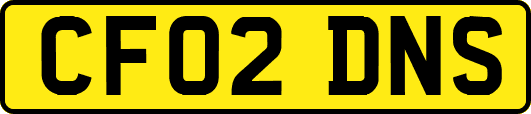 CF02DNS