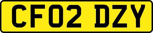 CF02DZY