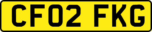 CF02FKG
