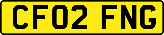 CF02FNG