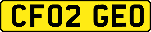 CF02GEO