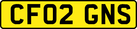 CF02GNS