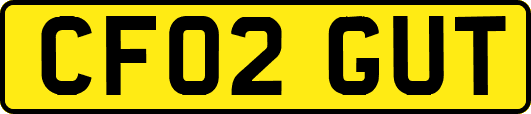 CF02GUT