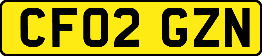 CF02GZN